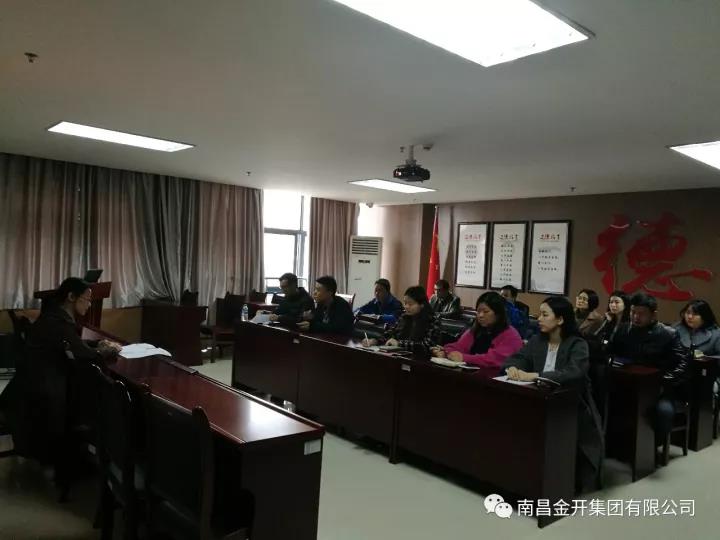 控股公司行政党支部设计院公司党支部学习党的十九大精神