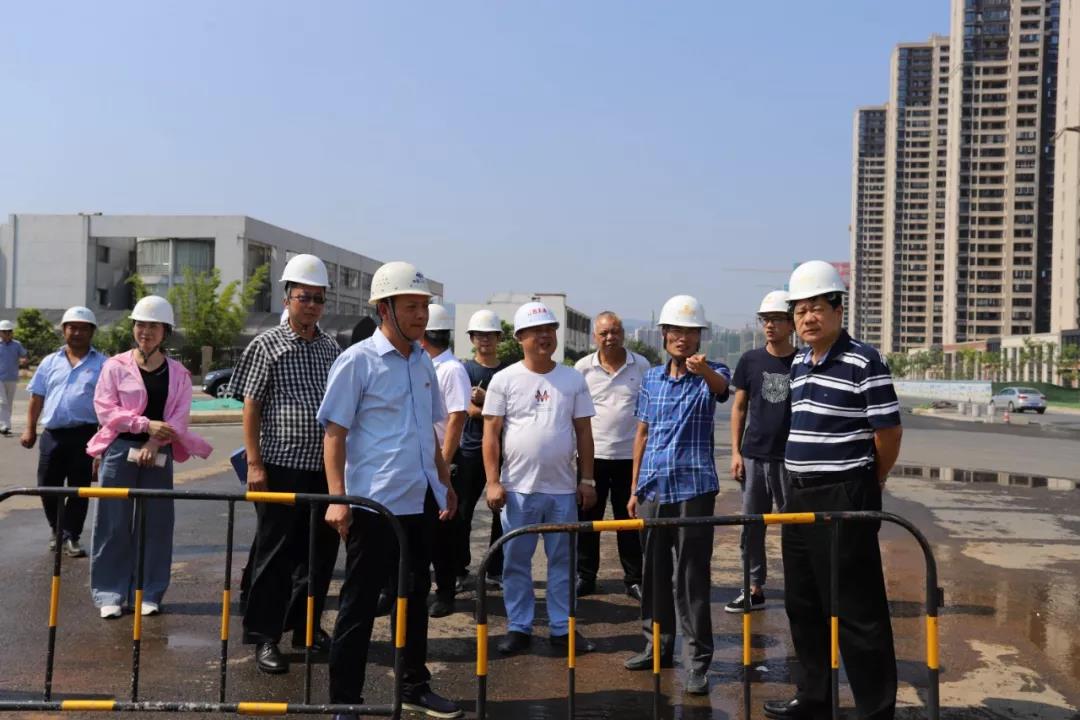 金开集团董事长谢荣华带队调研集团重大重点项目