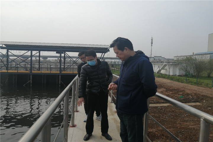 集团董事长谢荣华清明节视察白水湖污水处理厂项目