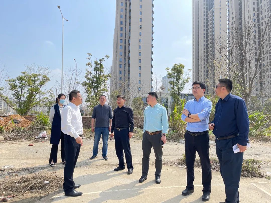 贺敏现场调研集团地产板块新摘土地项目