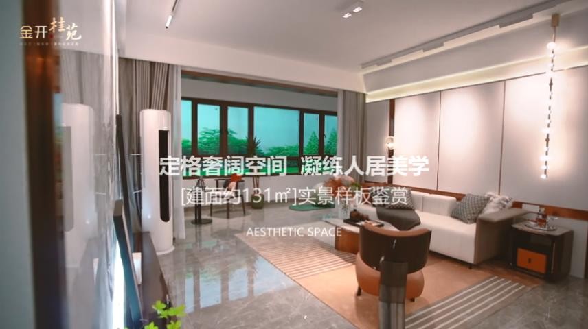 金开桂苑样板房视频